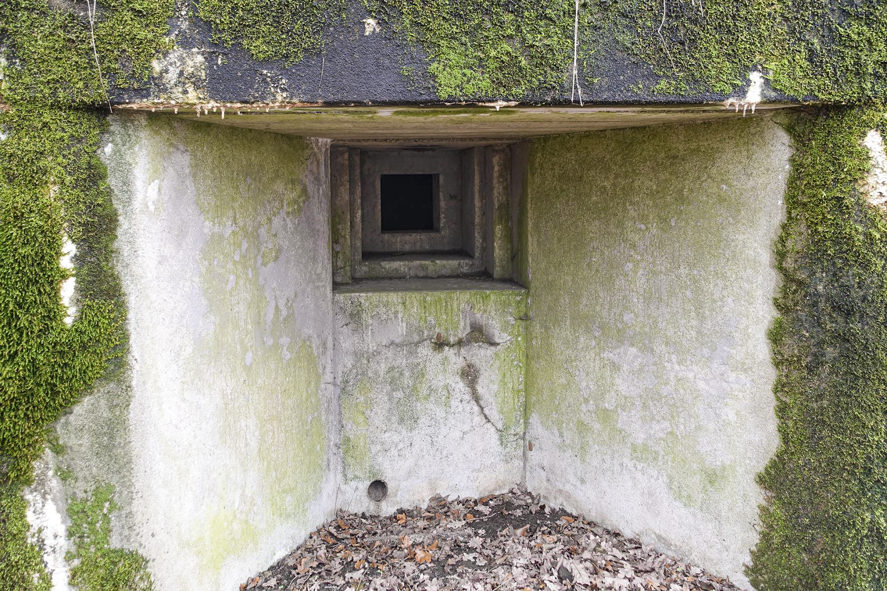 Ligne Maginot - SELTZBACH 1 - (Blockhaus pour arme infanterie) -  - David Palmer