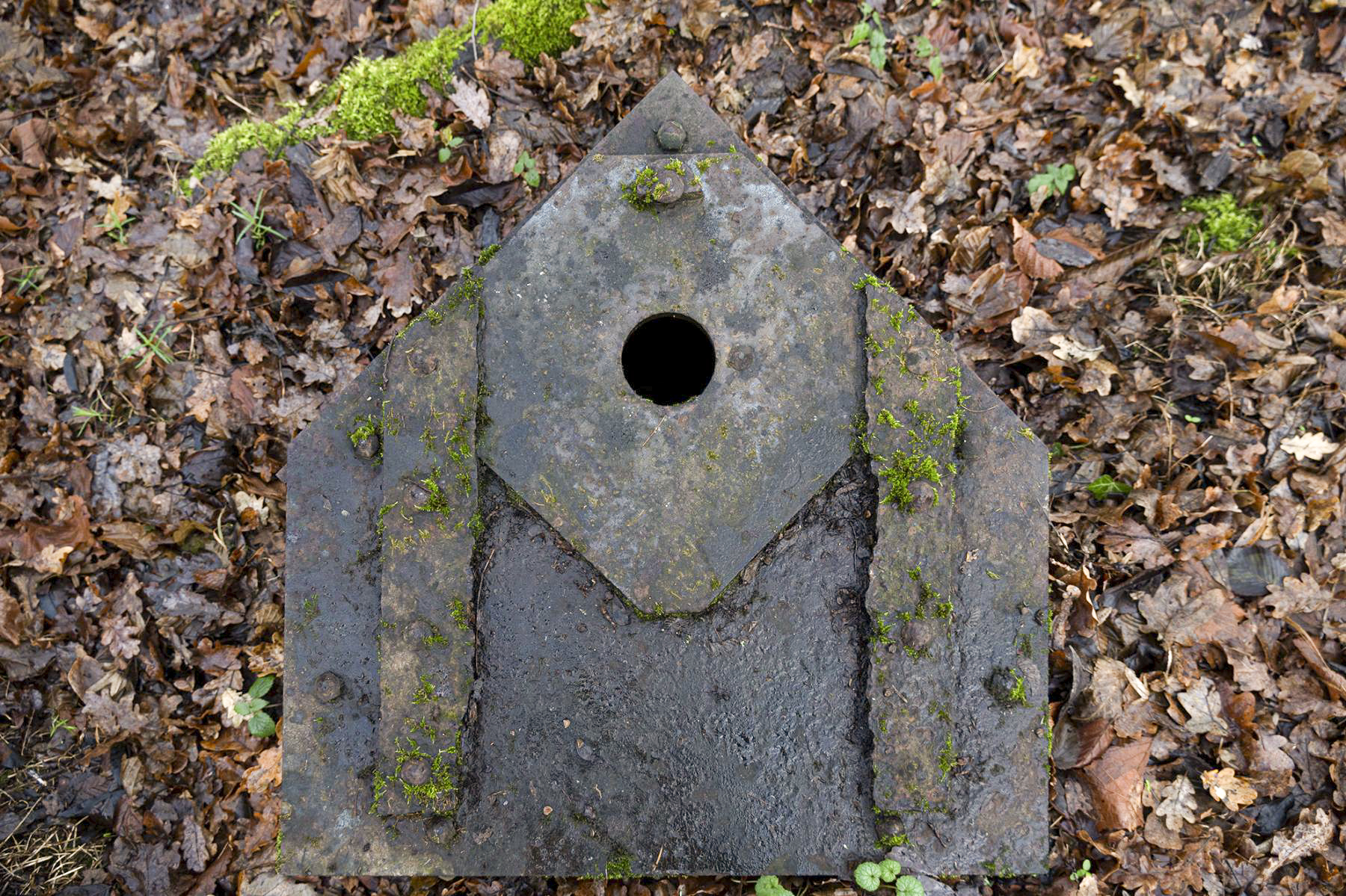 Ligne Maginot - SELTZBACH 4 - (Observatoire d'infanterie) - Ouverture pour un périscope - David Palmer