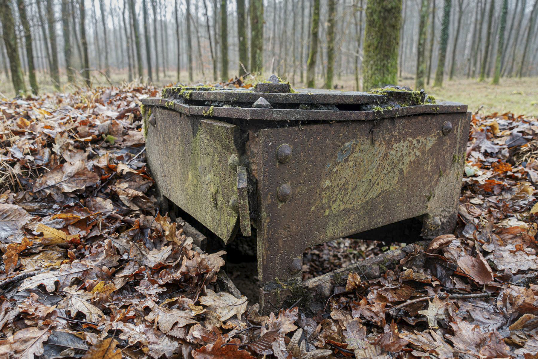 Ligne Maginot - SELTZBACH 4 - (Observatoire d'infanterie) - Guérite, vue rapprochée - David Palmer
