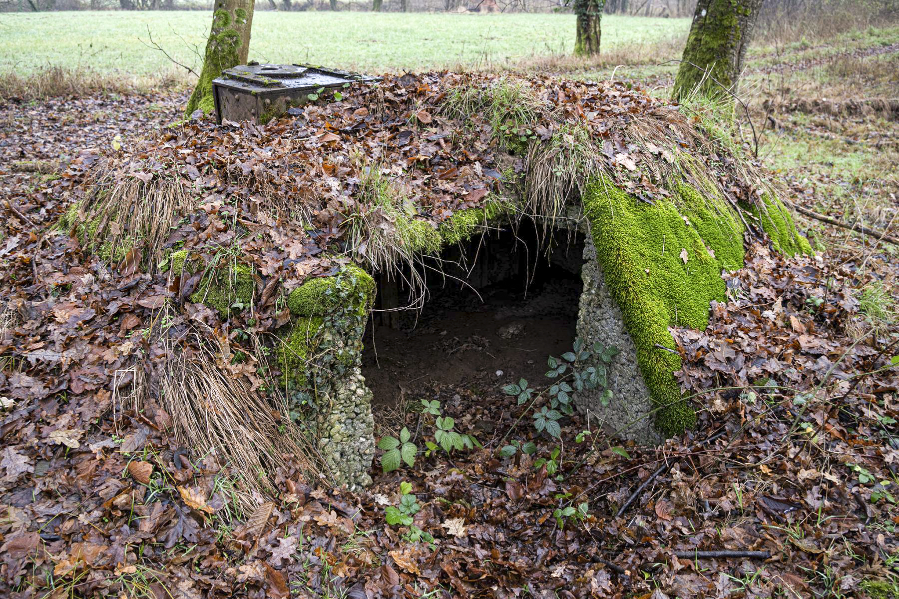 Ligne Maginot - SELTZBACH 4 - (Observatoire d'infanterie) - Accès arrière - David Palmer