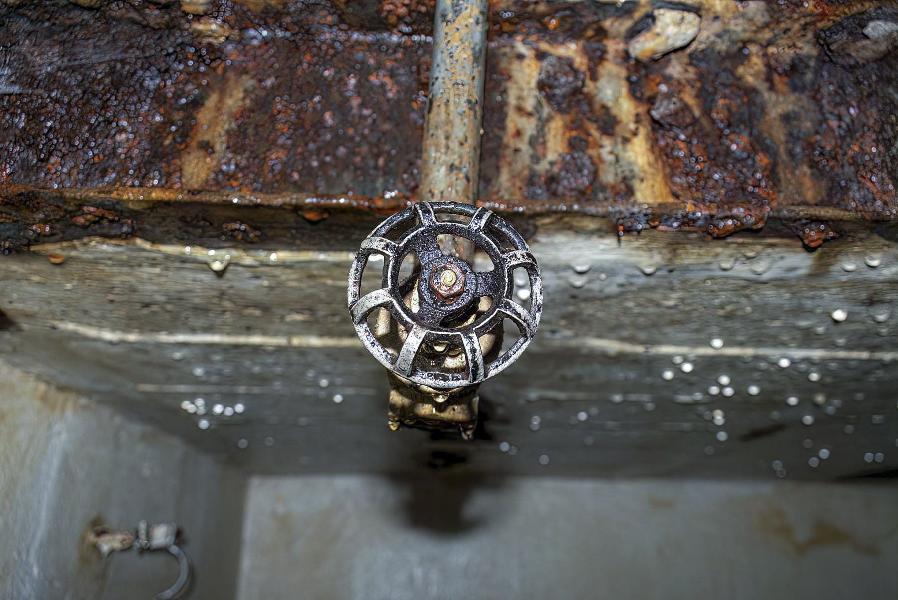 Ligne Maginot - HOCHWALD C3 - (Casemate d'infanterie - Double) -  - David Palmer