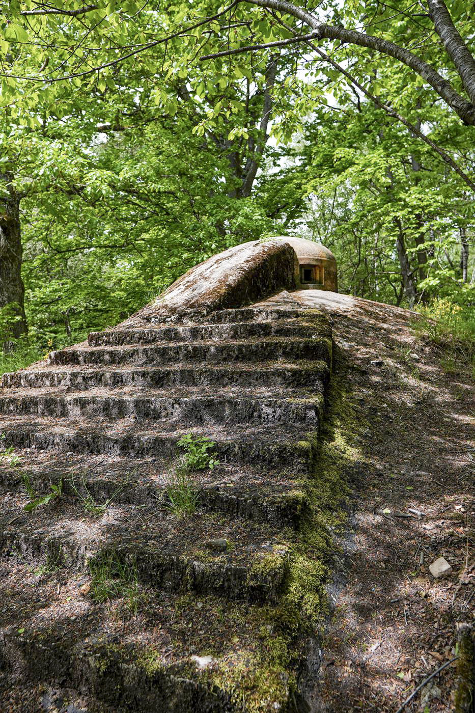 Ligne Maginot - HOCHWALD C5 - (Casemate d'infanterie - Simple) - La cloche GFM - David Palmer