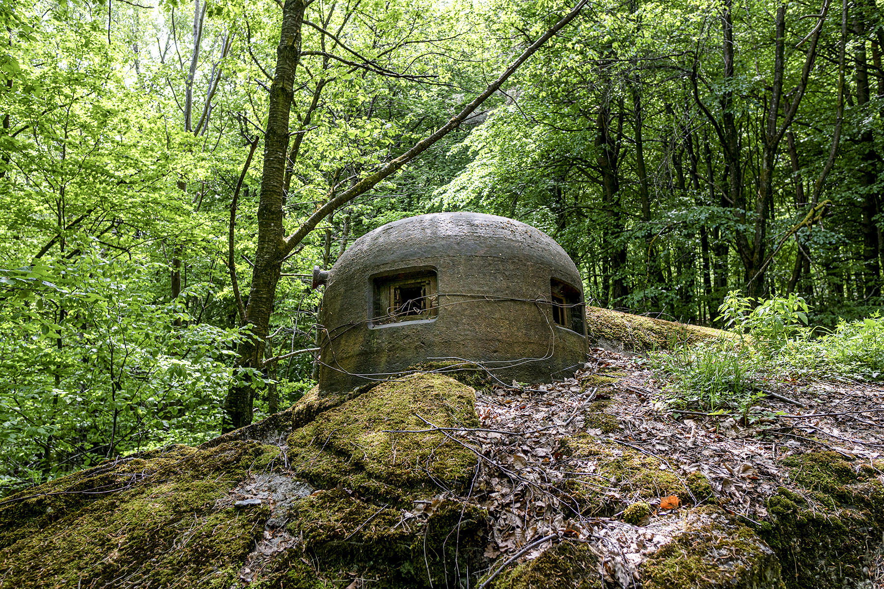 Ligne Maginot - HOCHWALD C6 - (Casemate d'infanterie - Double) - La cloche GFM - David Palmer