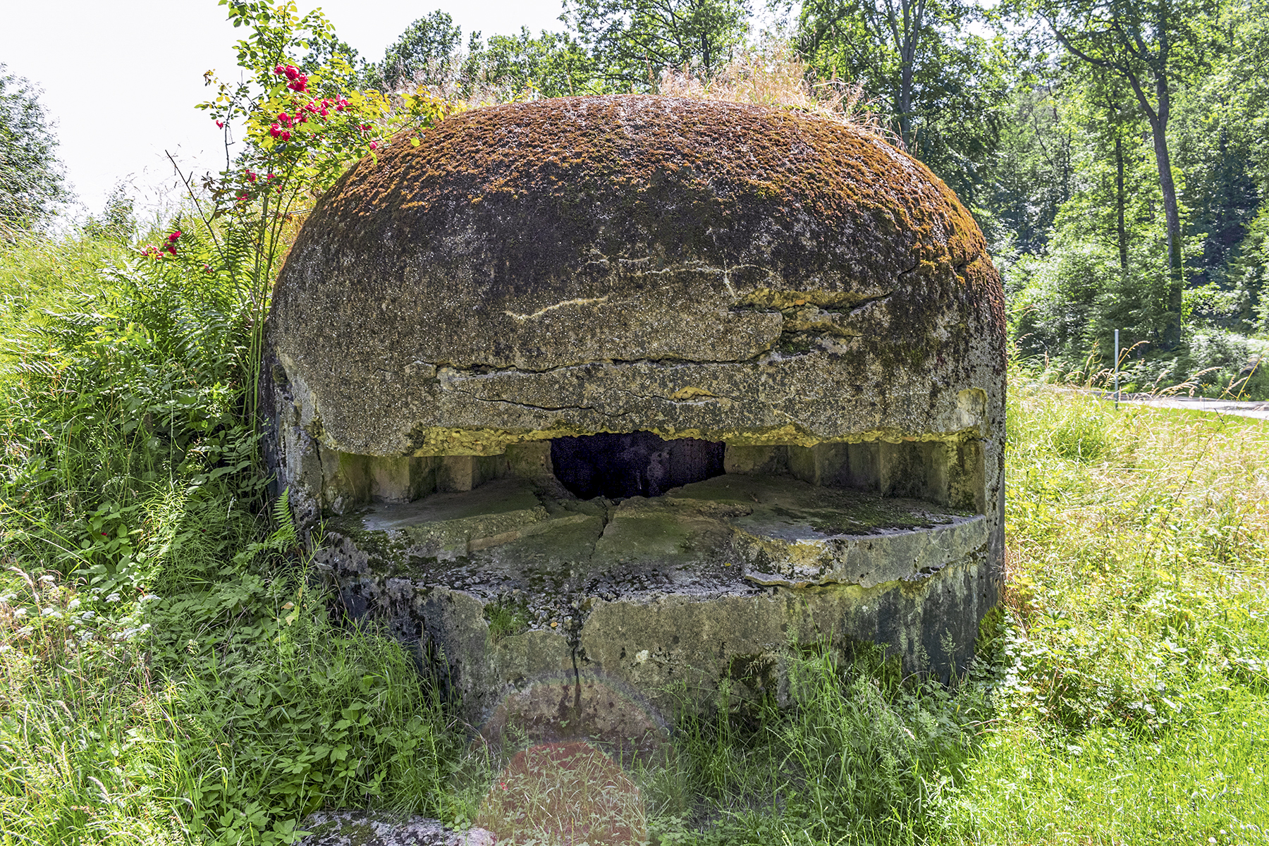 Ligne Maginot - PFAFFENSCHLICK SUD - (Blockhaus pour arme infanterie) - Coupole Nord - David Palmer