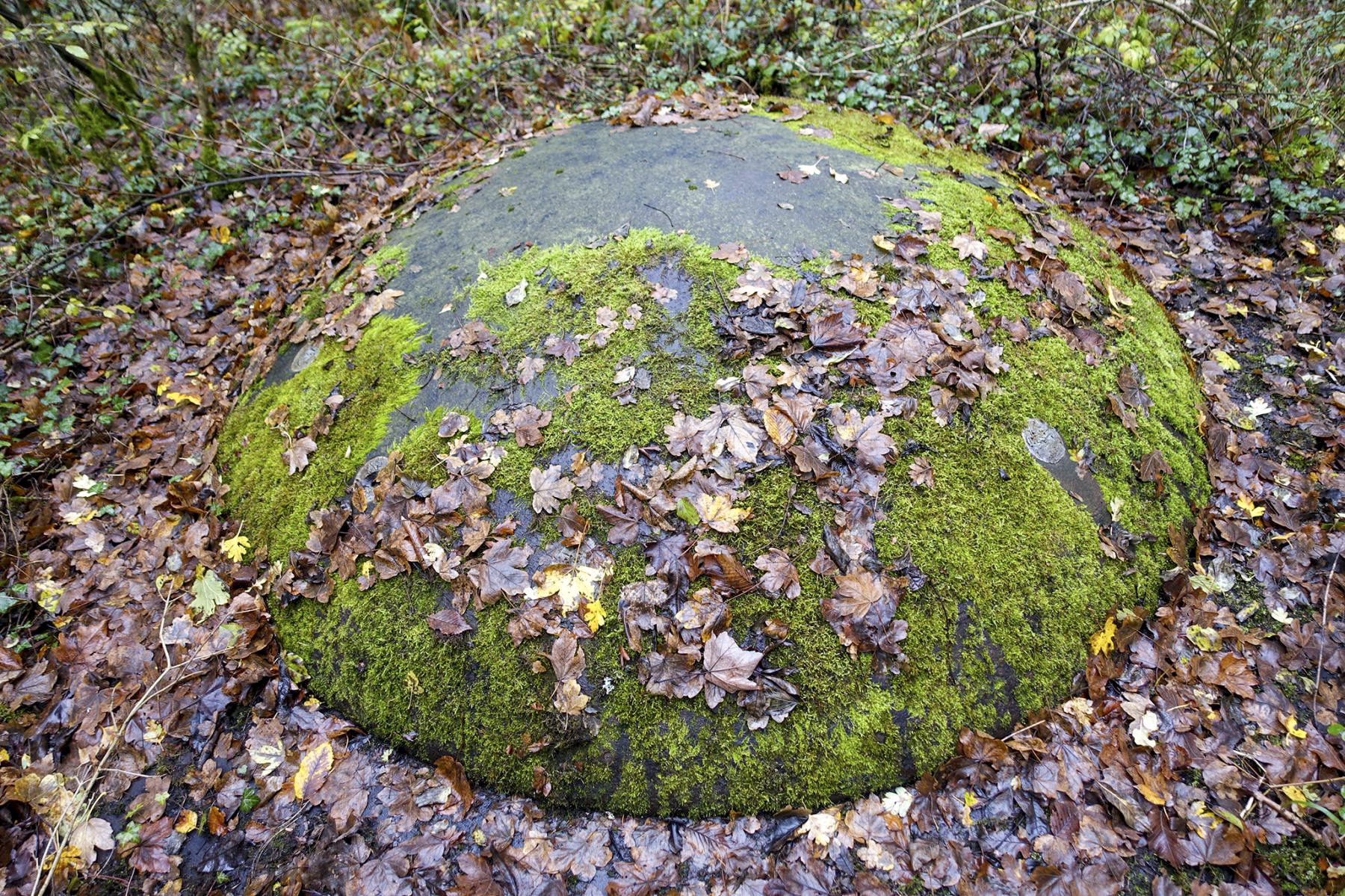 Ligne Maginot - KERFENT - A34 - (Ouvrage d'infanterie) - Bloc 1
Tourelle de mitrailleuses - David Palmer