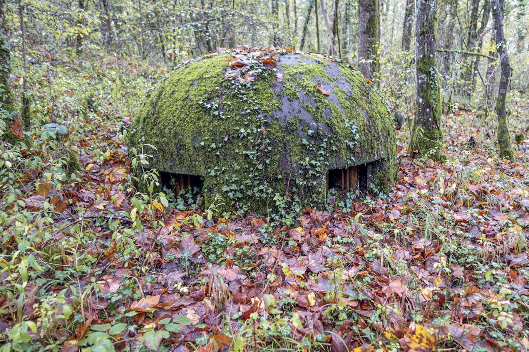 Ligne Maginot - KERFENT - A34 - (Ouvrage d'infanterie) - Bloc 1, Cloche GFM - David Palmer