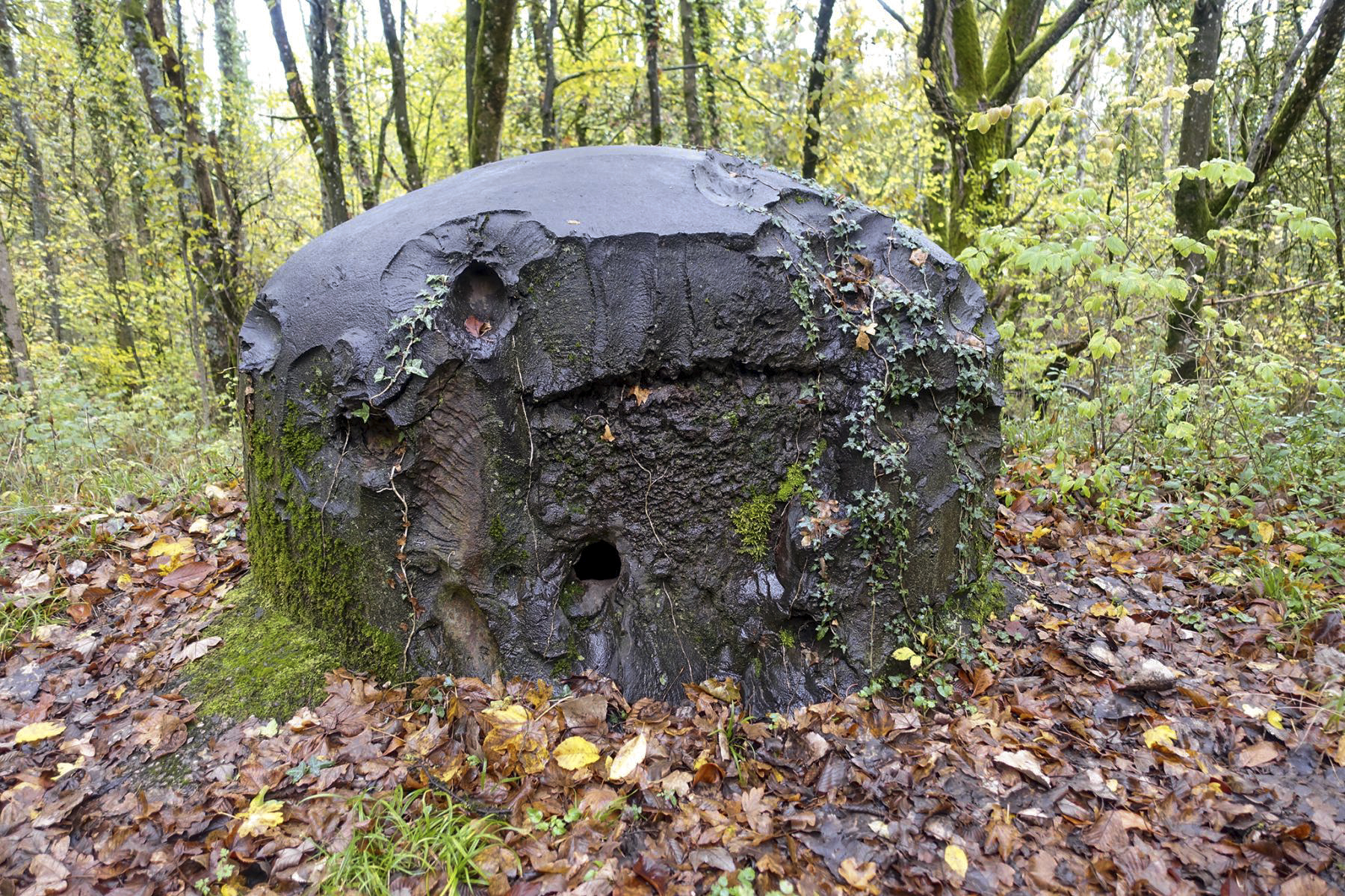 Ligne Maginot - KERFENT - A34 - (Ouvrage d'infanterie) - Bloc 3
Cloche GFM coté ennemi - David Palmer
