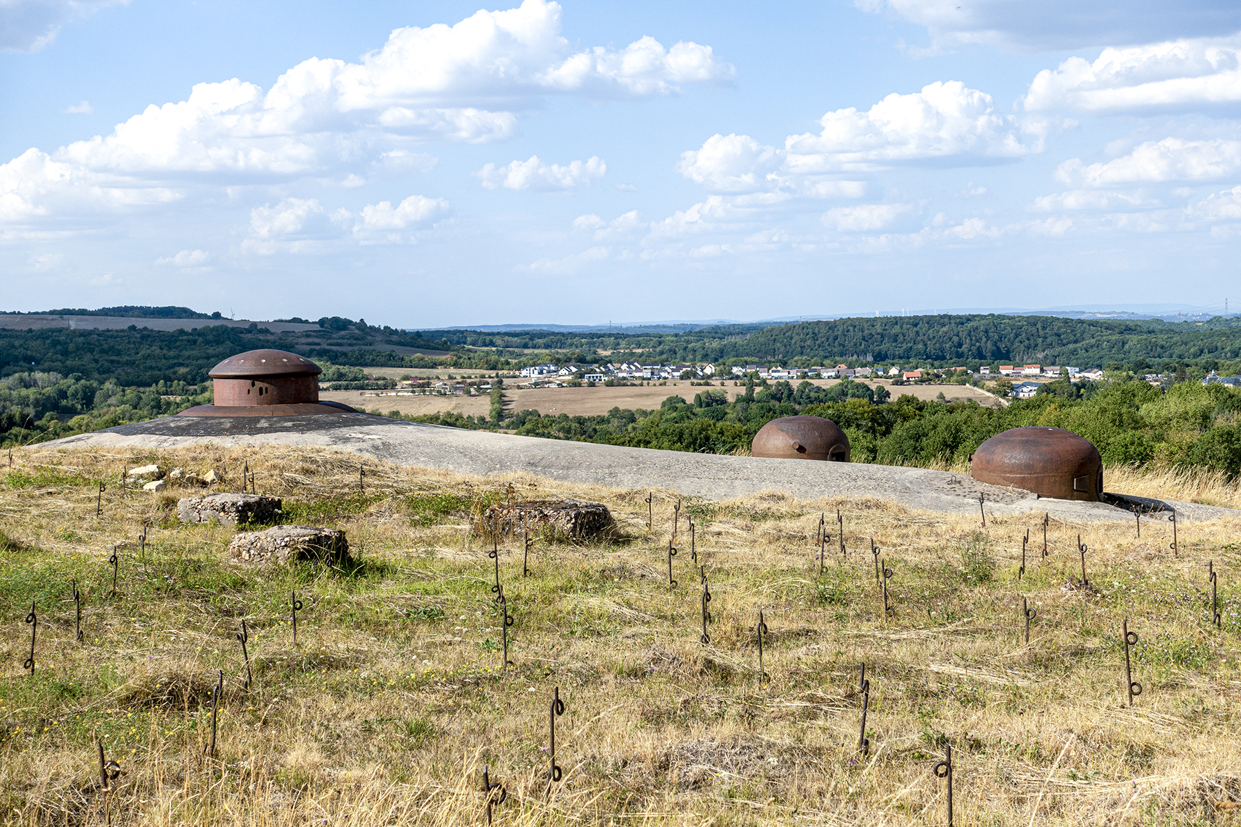 Ligne Maginot - EINSELING - A36 - (Ouvrage d'infanterie) - Le réseau de barbelés - David Palmer
