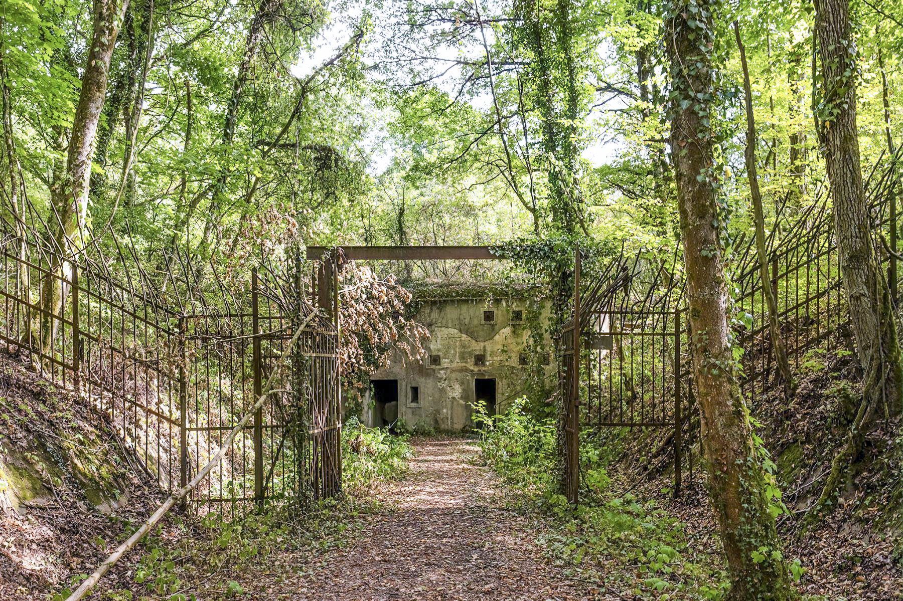 Ligne Maginot - KOENIGSMACKER (FESTE DE) - (Ouvrage d'artillerie) - Entrée principale de la batterie 10cm - David Palmer