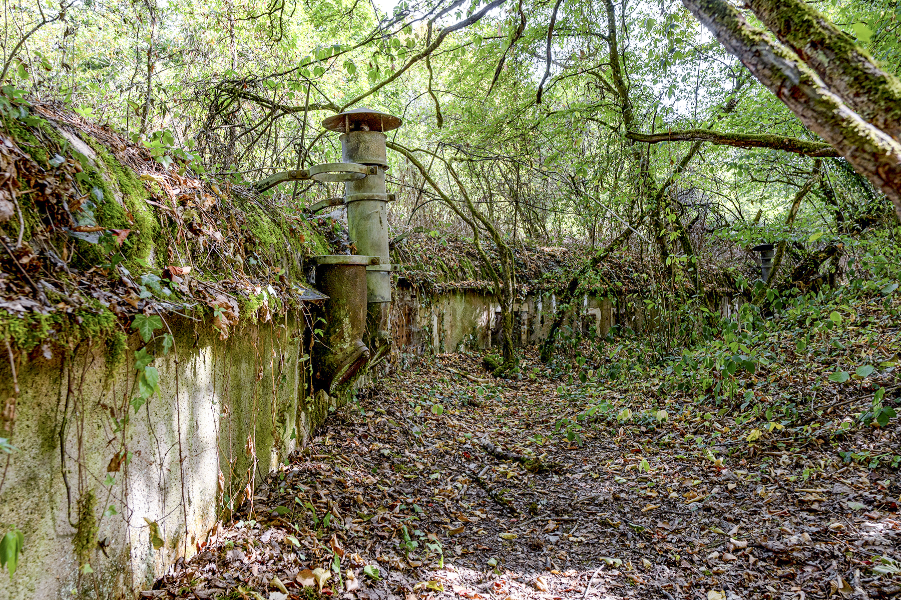 Ligne Maginot - KOENIGSMACKER (FESTE DE) - (Ouvrage d'artillerie) - Ventilation sur le toit de la batterie
 - David Palmer