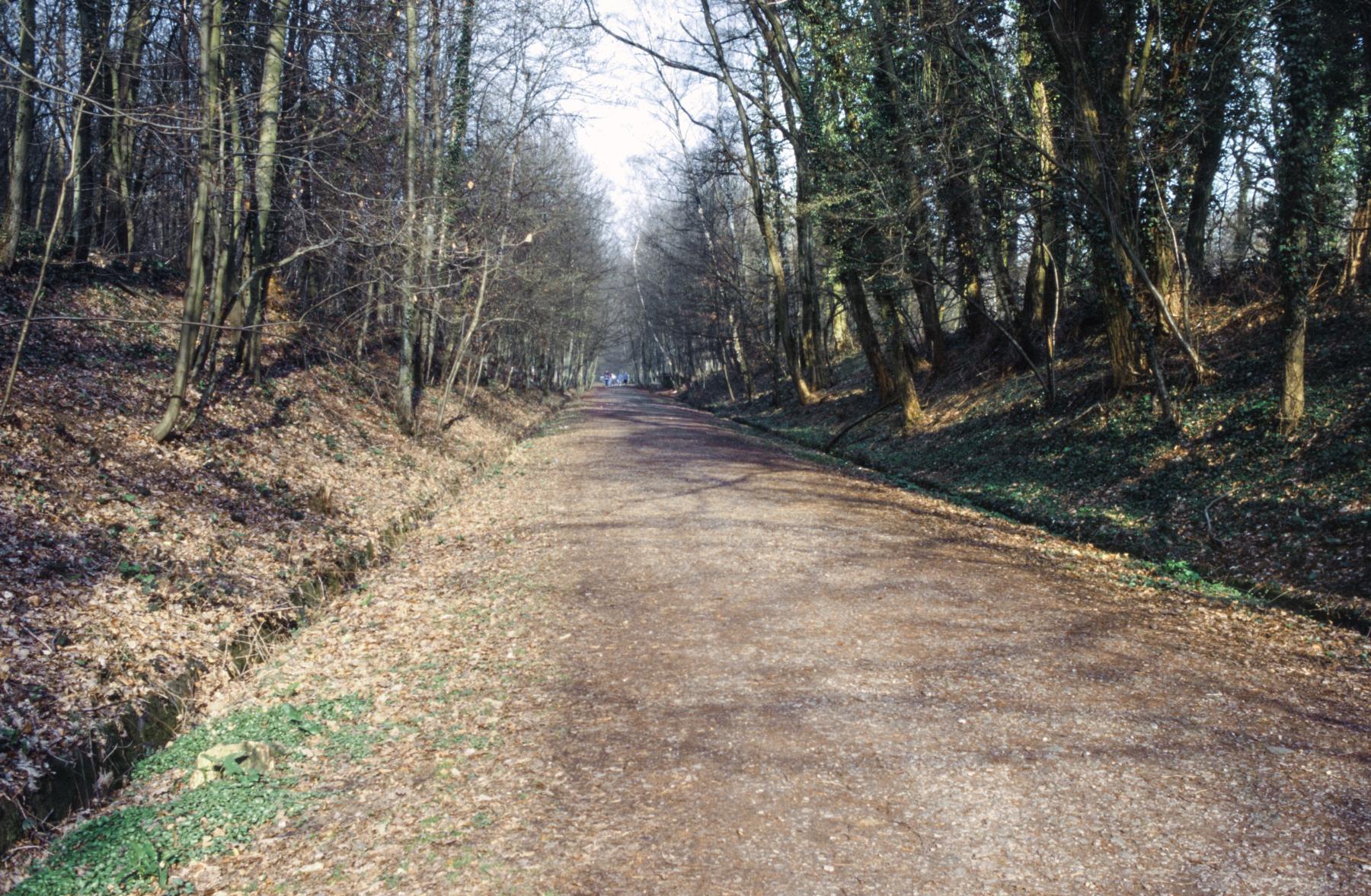 Ligne Maginot - SAINT HUBERT - DéPôT ARRIèRE - (Dépôt de Munitions) - Plateforme pour voie normale 2 - MANSUY Michel