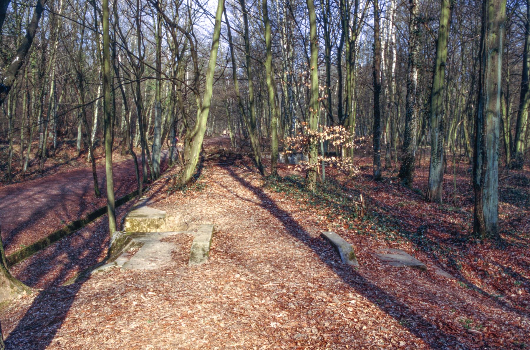 Ligne Maginot - SAINT HUBERT - DéPôT ARRIèRE - (Dépôt de Munitions) - Plateforme pour voie de 60 entre la voie normale 1 et 2 - MANSUY Michel