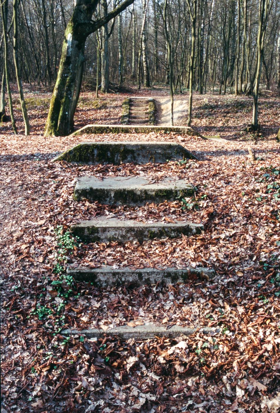 Ligne Maginot - SAINT HUBERT - DéPôT ARRIèRE - (Dépôt de Munitions) - Plateforme pour voie de 60 entre la voie normale 1 et 2 - MANSUY Michel