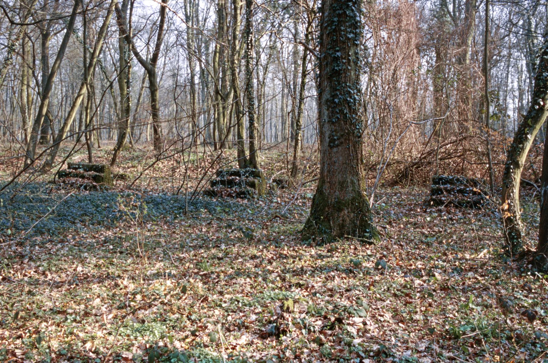 Ligne Maginot - SAINT HUBERT - DéPôT ARRIèRE - (Dépôt de Munitions) - Emplacement pour wagons SNCF - MANSUY Michel