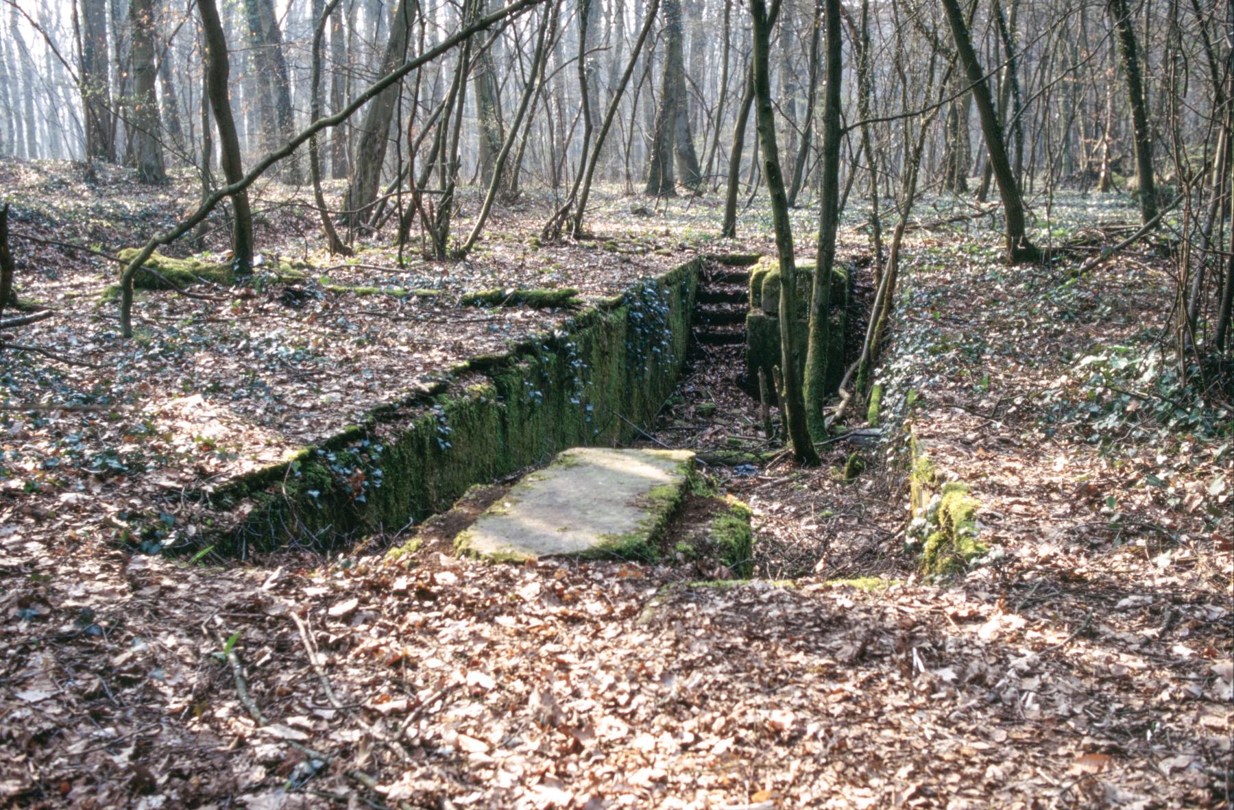 Ligne Maginot - SAINT HUBERT - DéPôT ARRIèRE - (Dépôt de Munitions) - Fosse de visite des locos - MANSUY Michel