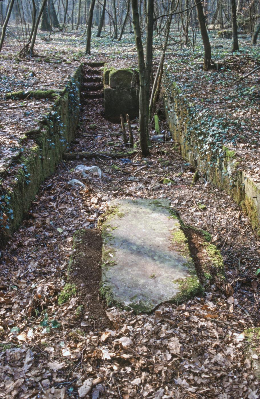 Ligne Maginot - SAINT HUBERT - DéPôT ARRIèRE - (Dépôt de Munitions) - Fosse de visite des locos - MANSUY Michel