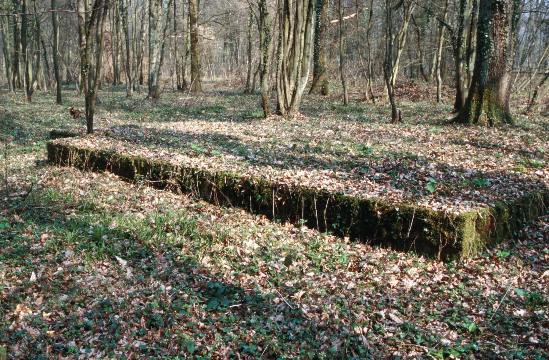 Ligne Maginot - SAINT HUBERT - DéPôT ARRIèRE - (Dépôt de Munitions) - Emplacement de la baraque de Cie - MANSUY Michel