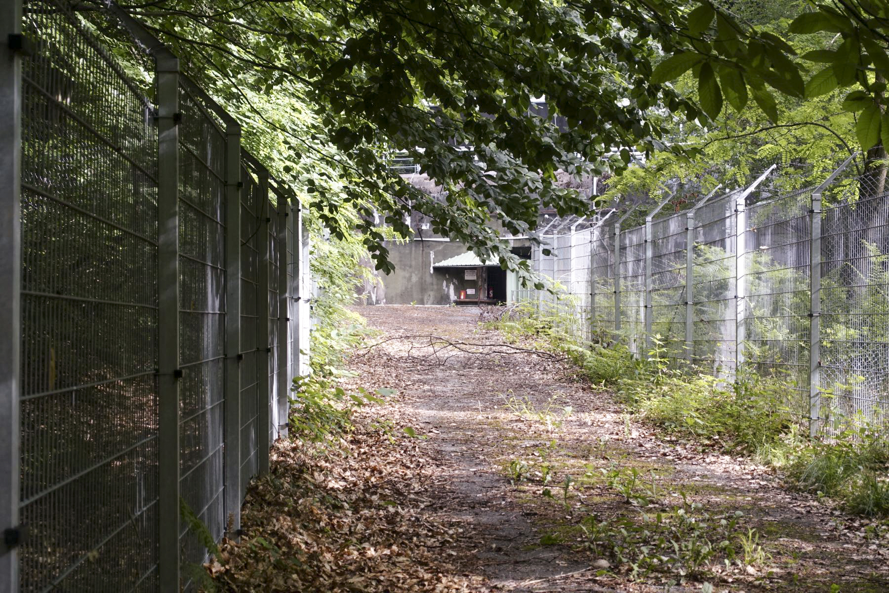 Ligne Maginot - HOCHWALD - (Ouvrage d'artillerie) - Bloc 9
Entrée des hommes Ouest - David Palmer
