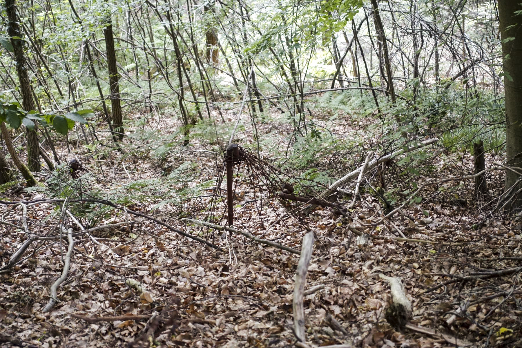 Ligne Maginot - HOCHWALD - (Ouvrage d'artillerie) - Bloc 9
Entrée des hommes Ouest
Réseau barbelés - David Palmer