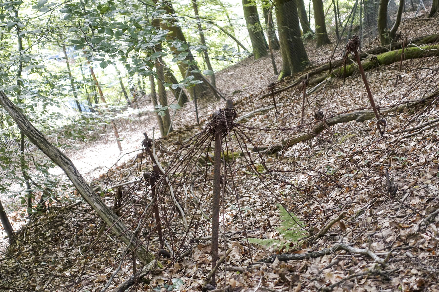 Ligne Maginot - HOCHWALD - (Ouvrage d'artillerie) - Bloc 9
Entrée hommes Ouest
Réseau barbelés - David Palmer