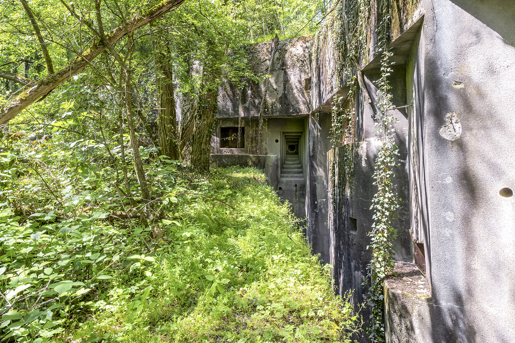 Ligne Maginot - HOCHWALD - (Ouvrage d'artillerie) - Bloc 3 - David Palmer