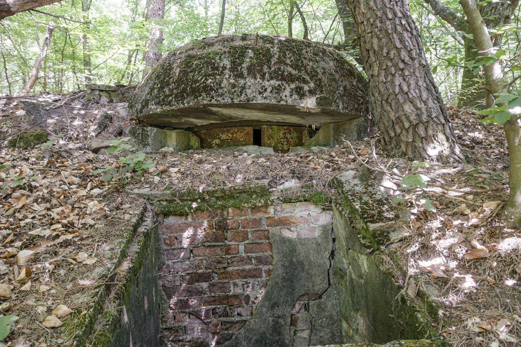Ligne Maginot - REDUIT DU HOCHWALD - (Blockhaus pour arme infanterie) - Coupole mitrailleuse - David Palmer