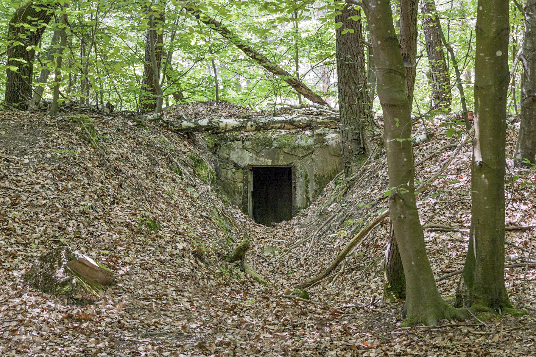 Ligne Maginot - REDUIT DU HOCHWALD - (Blockhaus pour arme infanterie) - L'entrée du blockhaus - David Palmer