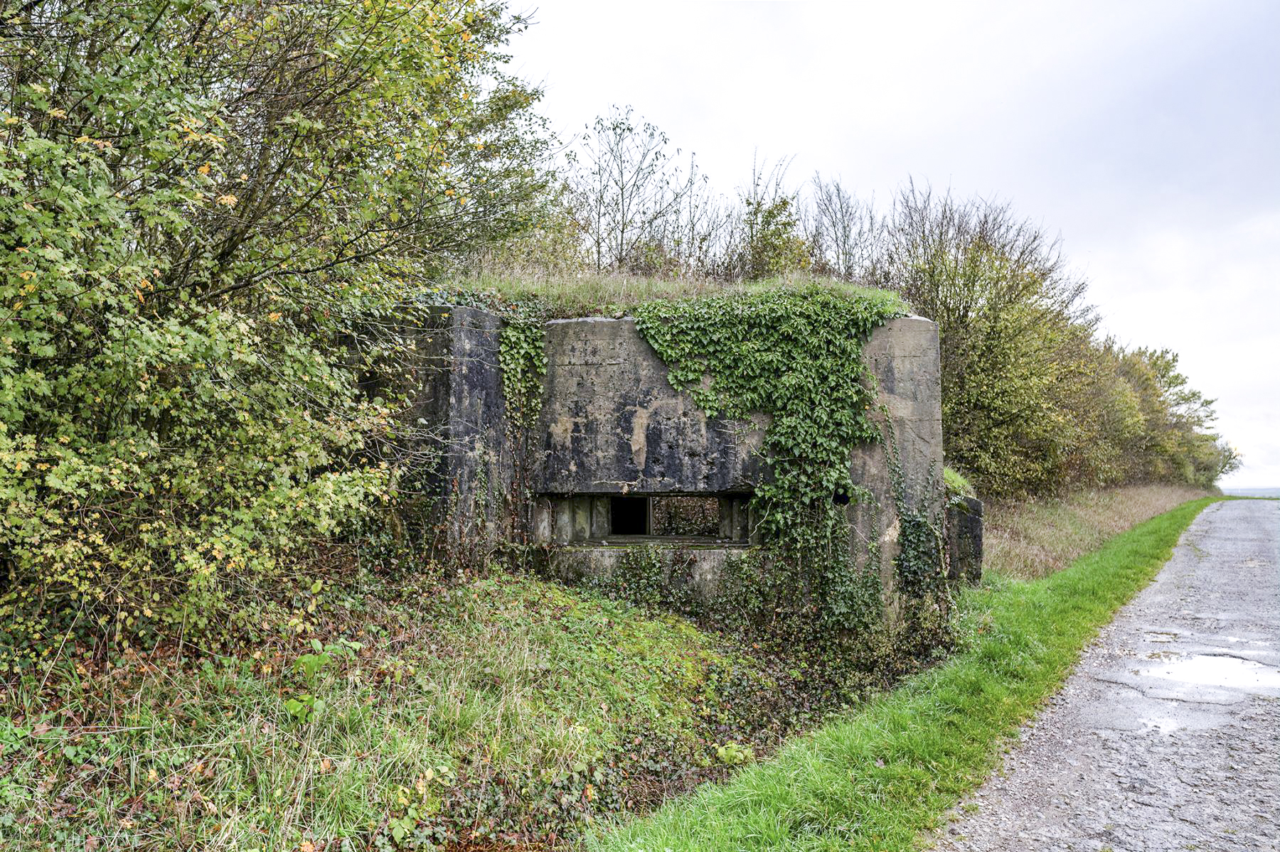 Ligne Maginot - BAMBESCH EST 1 - (Blockhaus pour canon) -  - David Palmer