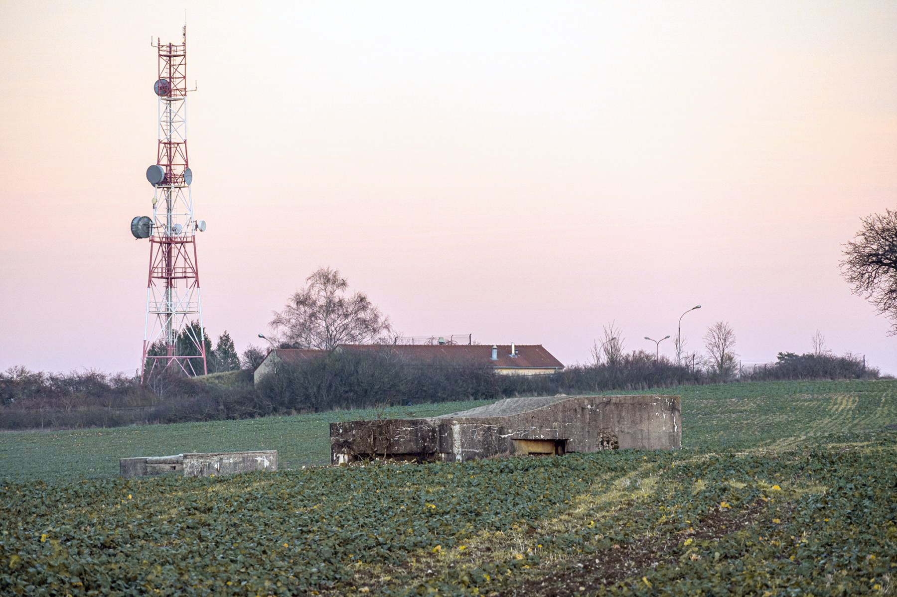Ligne Maginot - BININGERWIESE 4 - (Blockhaus pour arme infanterie) -  - David Palmer