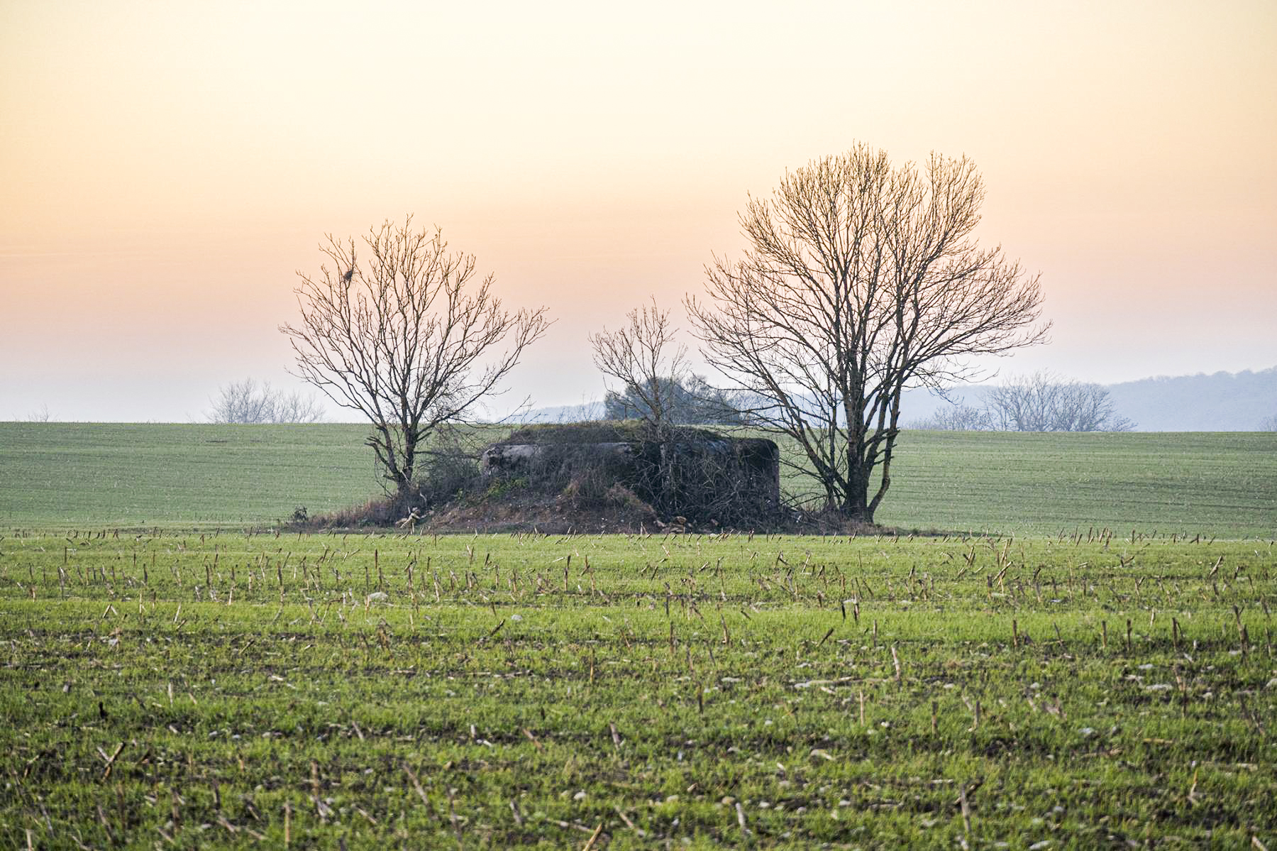 Ligne Maginot - KALKOFEN 3 - (Blockhaus pour canon) -  - David Palmer