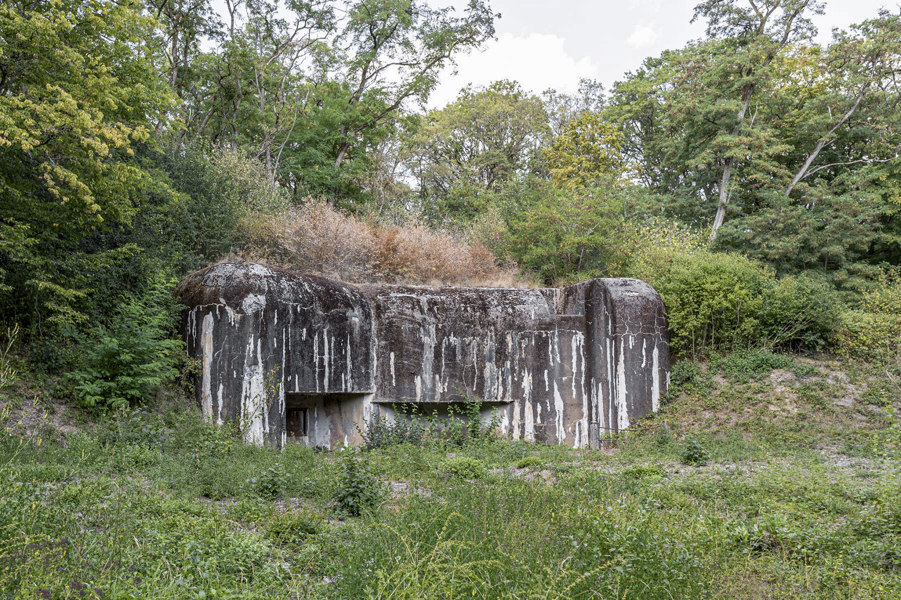 Ligne Maginot - KOBENBUSCH  - A13 - (Ouvrage d'artillerie) - Entrée des hommes - David Palmer