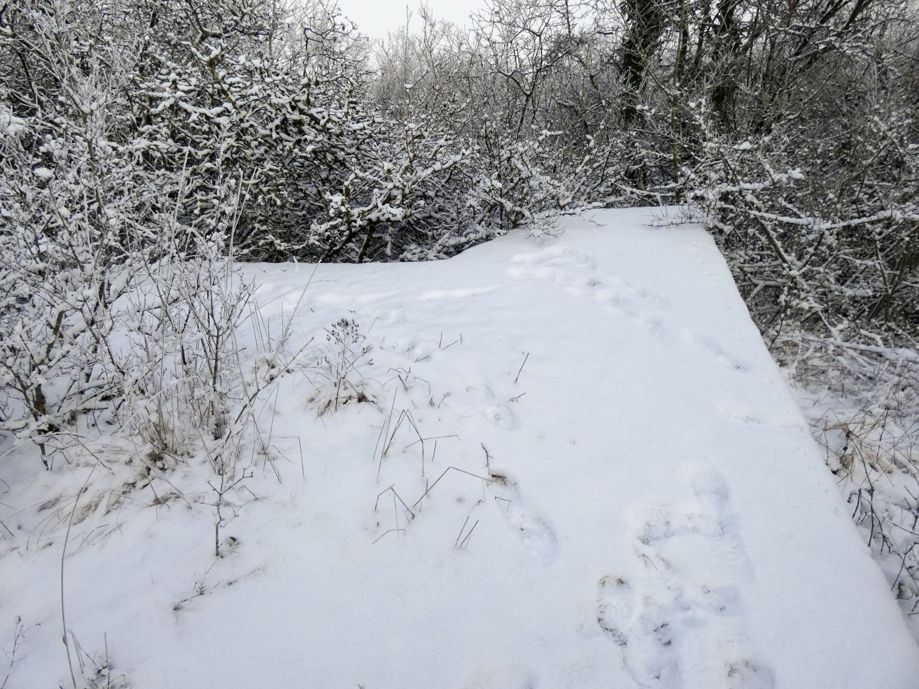 Ligne Maginot - BB308 - (Blockhaus pour arme infanterie) - La dalle du blockhaus.  - STENGER Mathieu