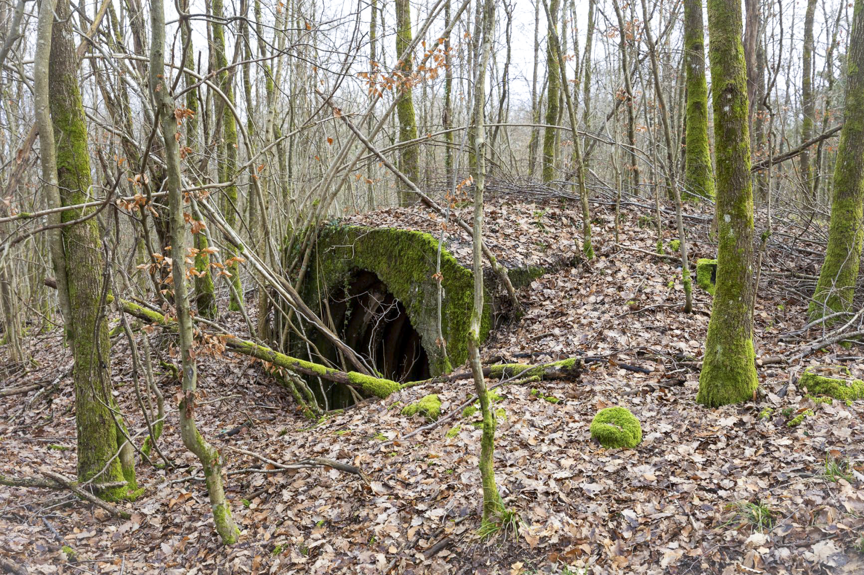 Ligne Maginot - DIEFENBACH - (Abri) -  Abri en tôle métro et béton  - Lenhard Christian
