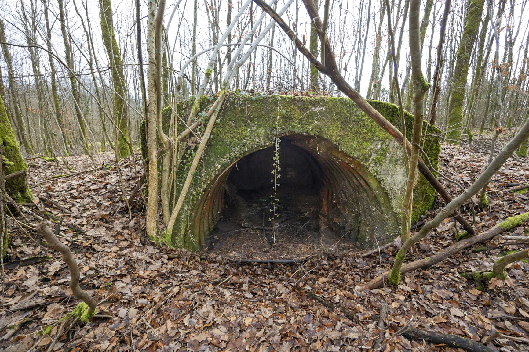 Ligne Maginot - DIEFENBACH - (Abri) - Abri en tôle métro et béton  - Lenhard Christian