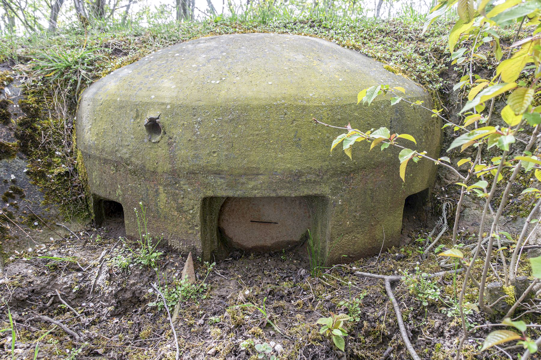 Ligne Maginot - ASCHBACH OUEST - (Casemate d'infanterie - Simple) - Cloche JM
 - David Palmer