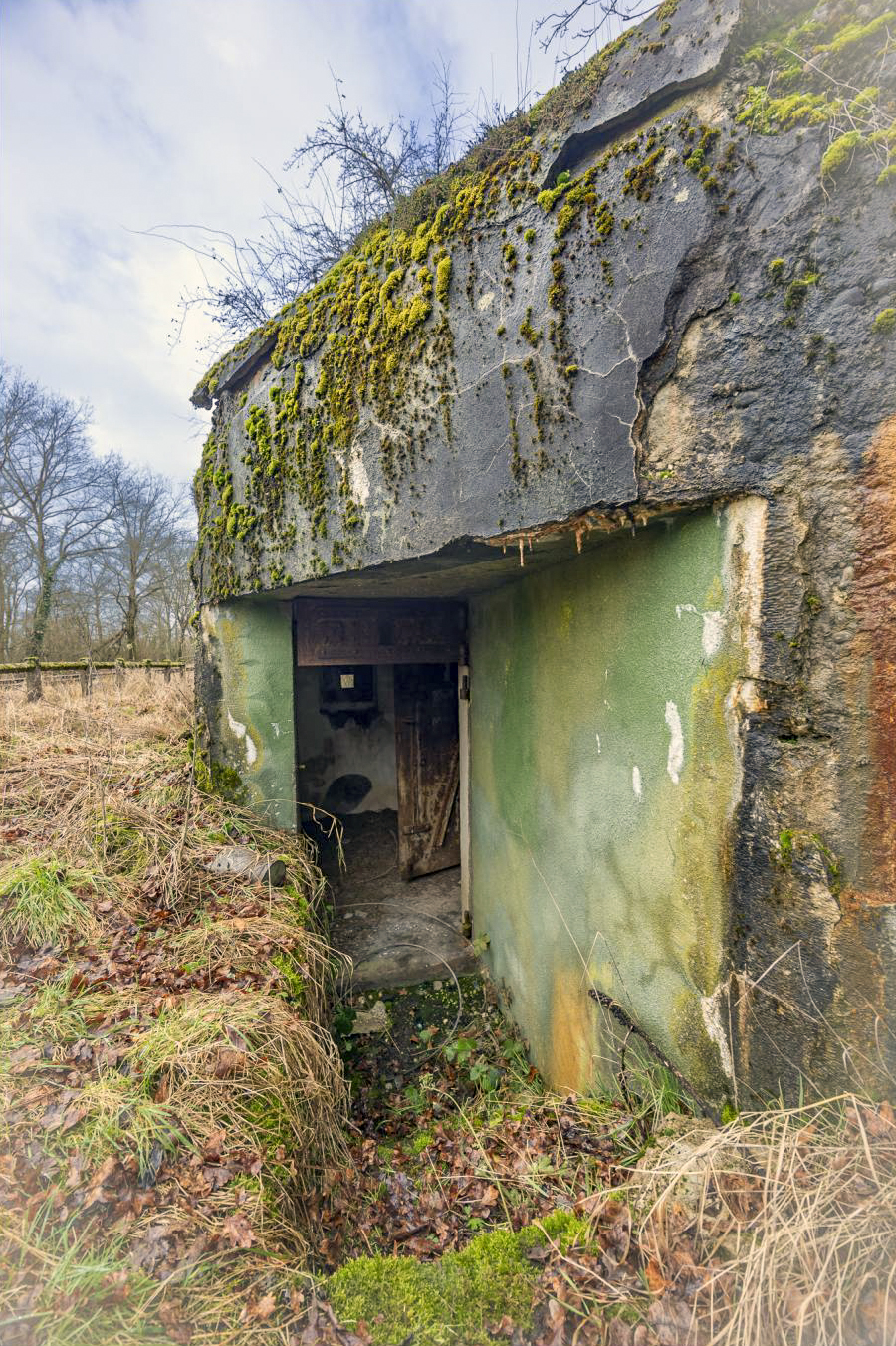 Ligne Maginot - SCHWANDELWALD 1 - (Blockhaus pour arme infanterie) - L'entrée - Lenhard Christian