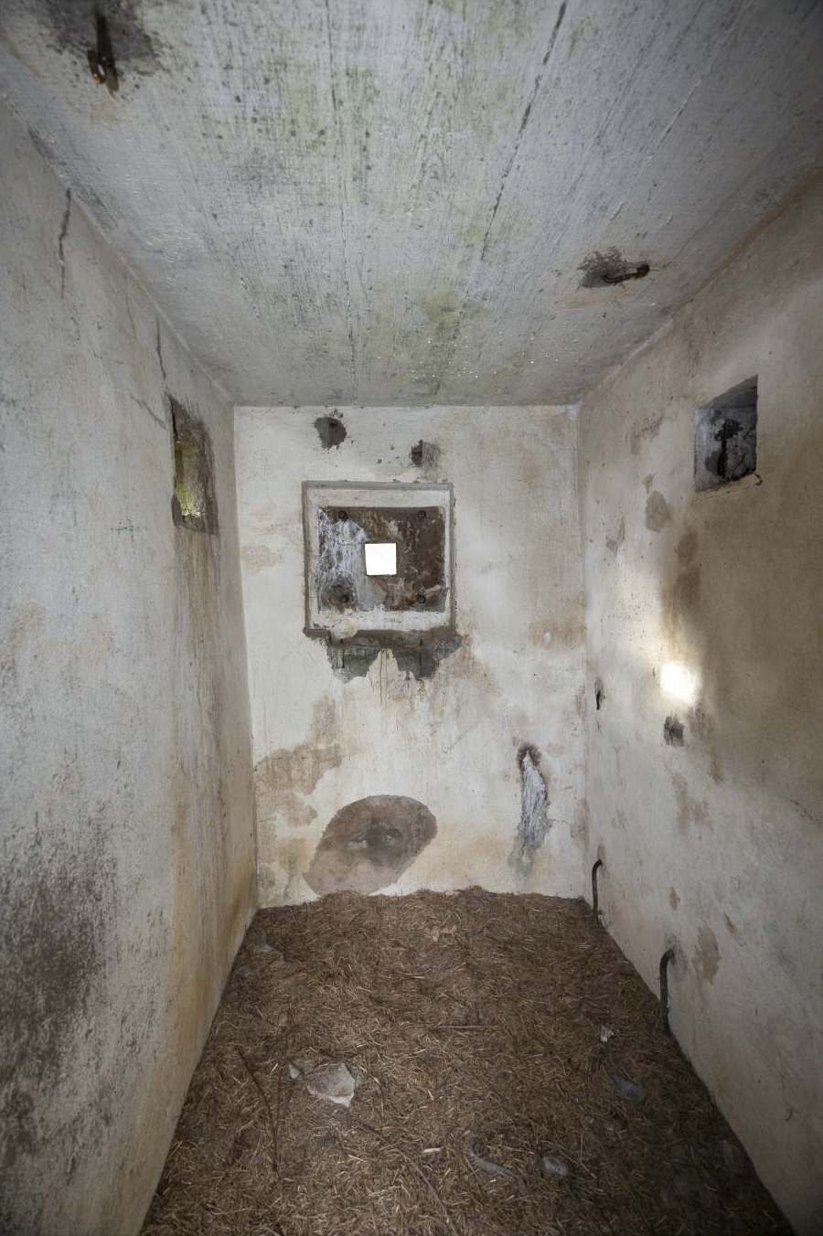 Ligne Maginot - SCHWANDELWALD 1 - (Blockhaus pour arme infanterie) -  - Lenhard Christian