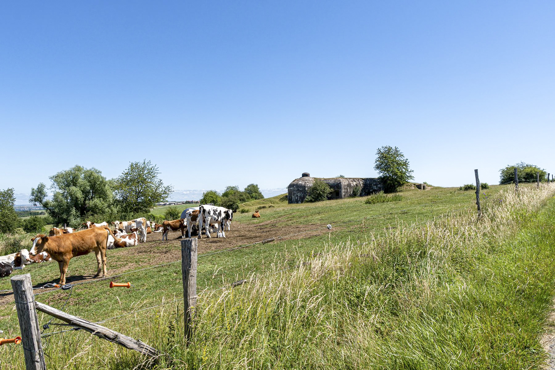 Ligne Maginot - SEELBERG OUEST - (Casemate d'infanterie - Simple) -  - David Palmer