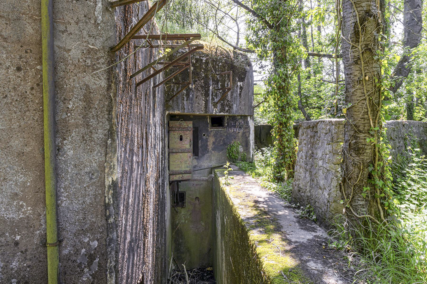 Ligne Maginot - BOIS DE HOFFEN OUEST - (Casemate d'infanterie - Simple) -  - David Palmer