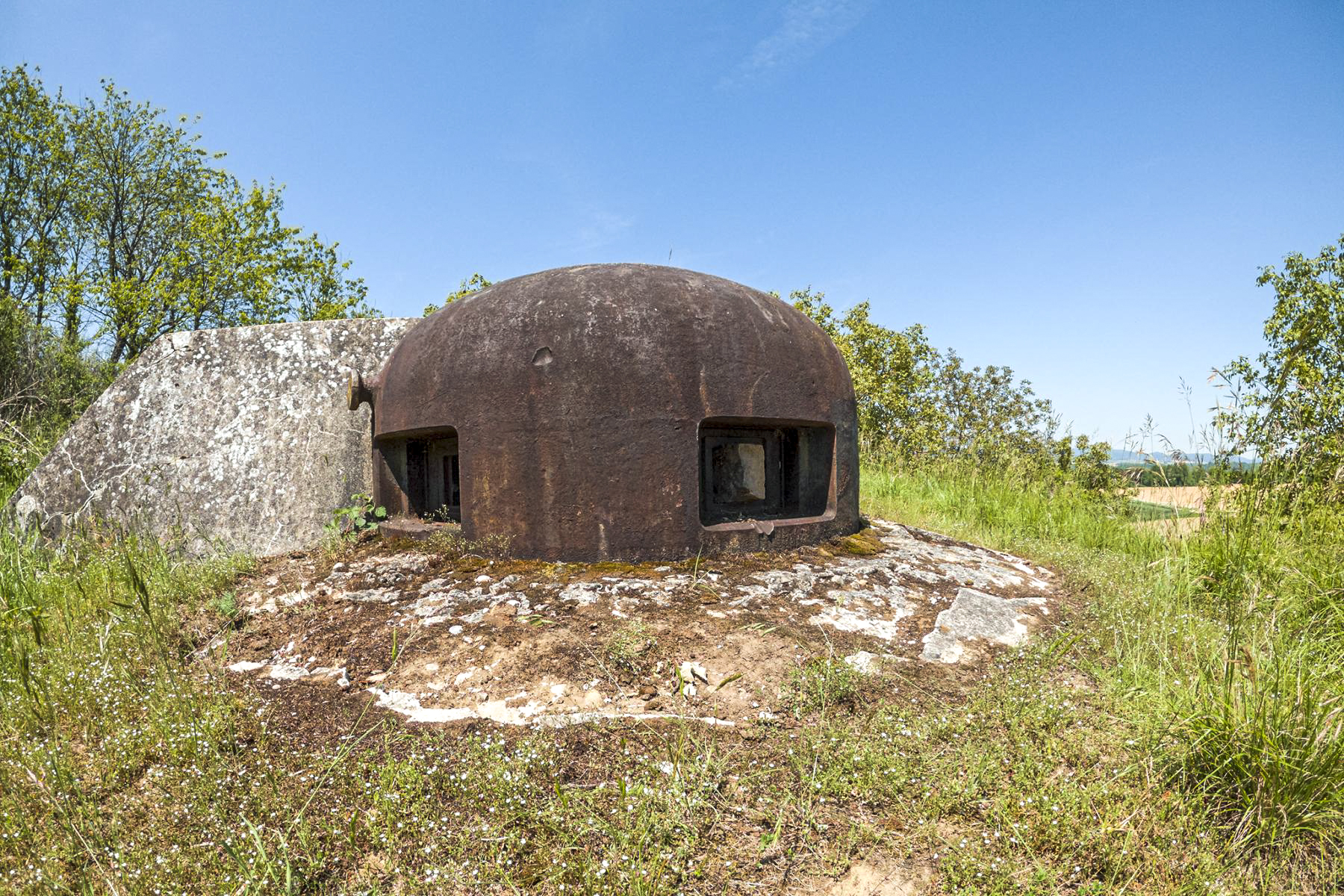 Ligne Maginot - BOIS DE HOFFEN OUEST - (Casemate d'infanterie - Simple) - Cloche GFM - David Palmer