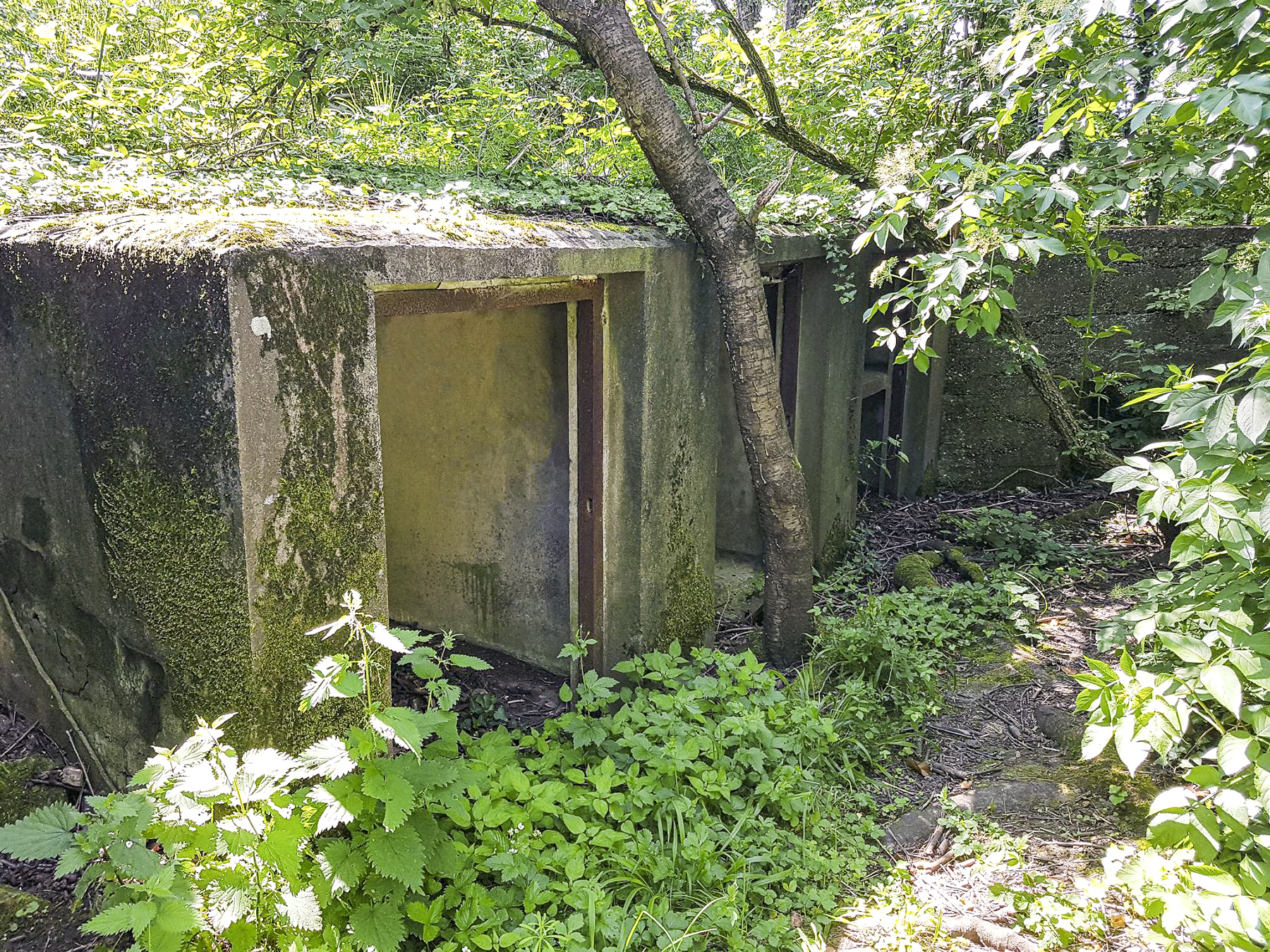 Ligne Maginot - BOIS DE HOFFEN OUEST - (Casemate d'infanterie - Simple) - Les niches pour les mines et barbelés - David Palmer