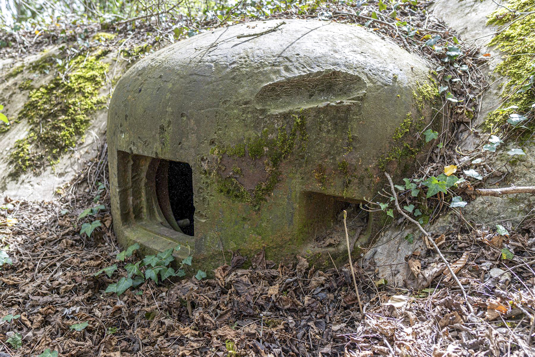 Ligne Maginot - HOFFEN - (Casemate d'infanterie - Simple) - Cloche JM - David Palmer