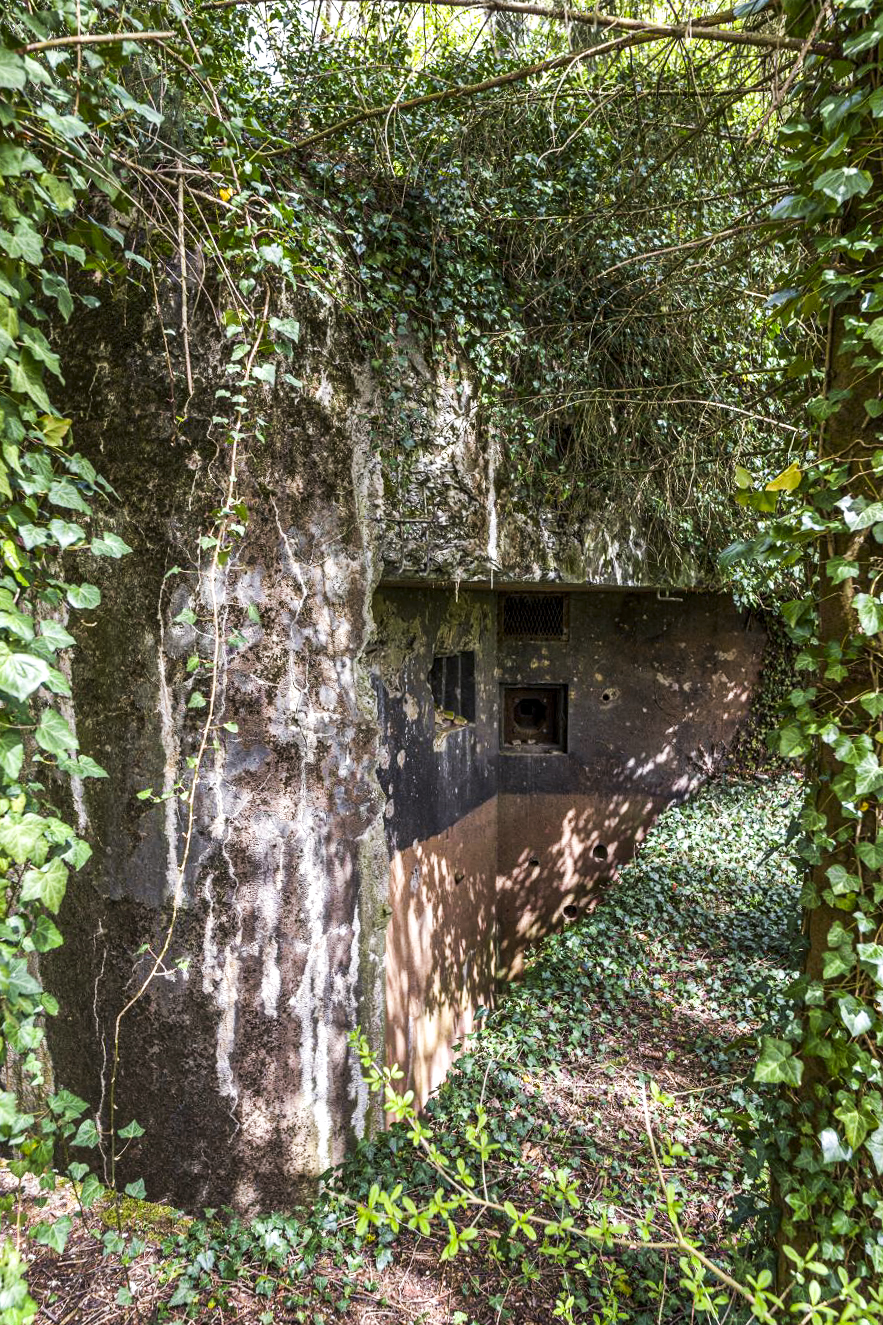 Ligne Maginot - HOFFEN - (Casemate d'infanterie - Simple) -  - David Palmer