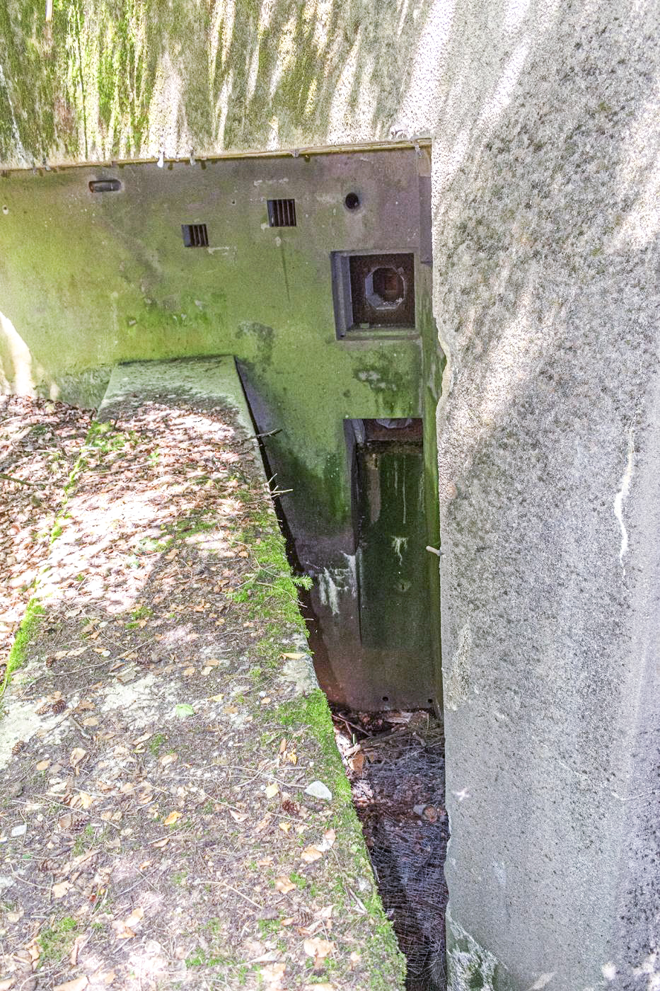 Ligne Maginot - DRACHENBRONN NORD OUEST - (Casemate d'infanterie - Simple) -  - David Palmer