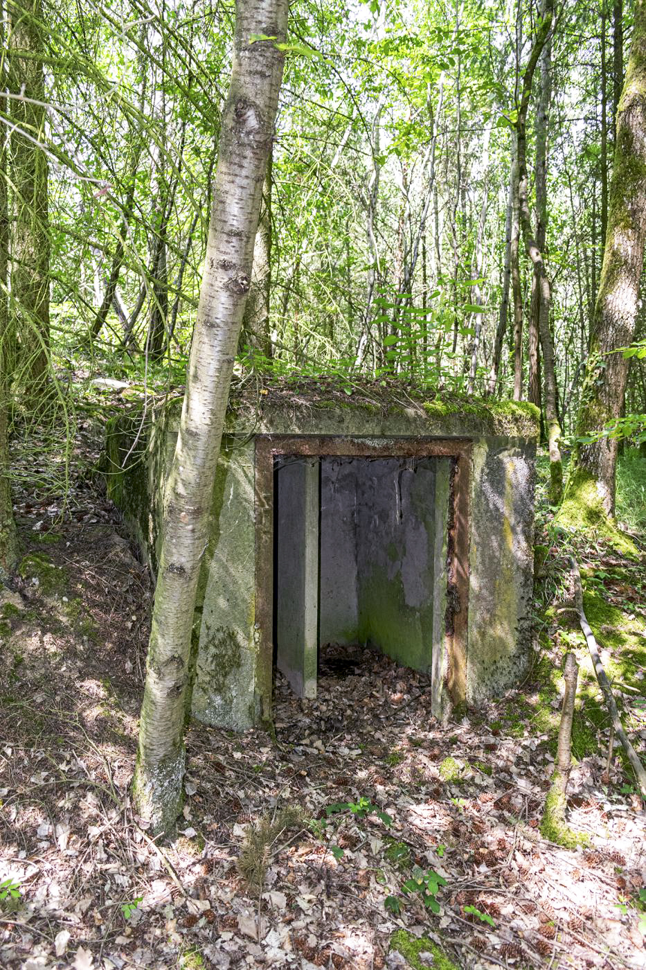 Ligne Maginot - DRACHENBRONN NORD OUEST - (Casemate d'infanterie - Simple) - Niche pour le stockage extérieur des mines et du barbelé - David Palmer