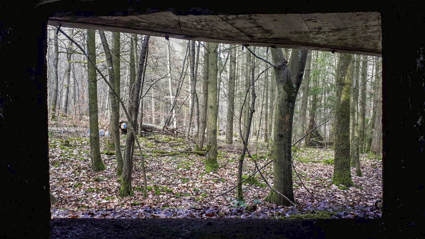 Ligne Maginot - DRACHENBRONN NORD OUEST - (Casemate d'infanterie) - Vue depuis le créneau JM et canon de 37 - Gregory Fuchs