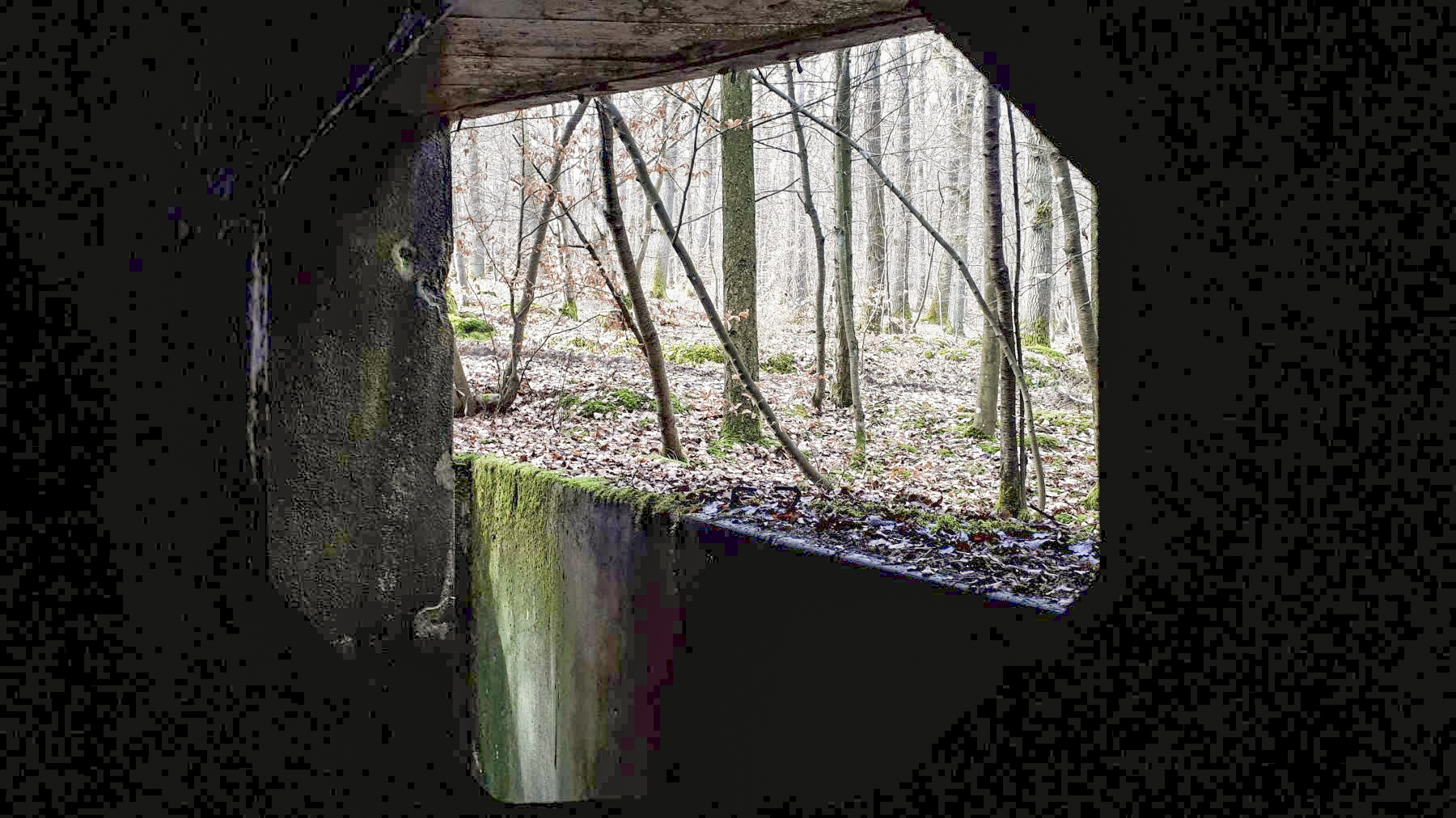 Ligne Maginot - DRACHENBRONN NORD OUEST - (Casemate d'infanterie) - Vue depuis le créneau FM de flanquement de façade - Gregory Fuchs