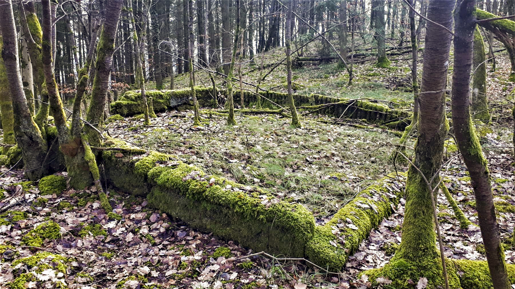 Ligne Maginot - Fondations d'un baraquement entre les deux casemates - Fondations d'un baraquement entre les deux casemates - Gregory Fuchs