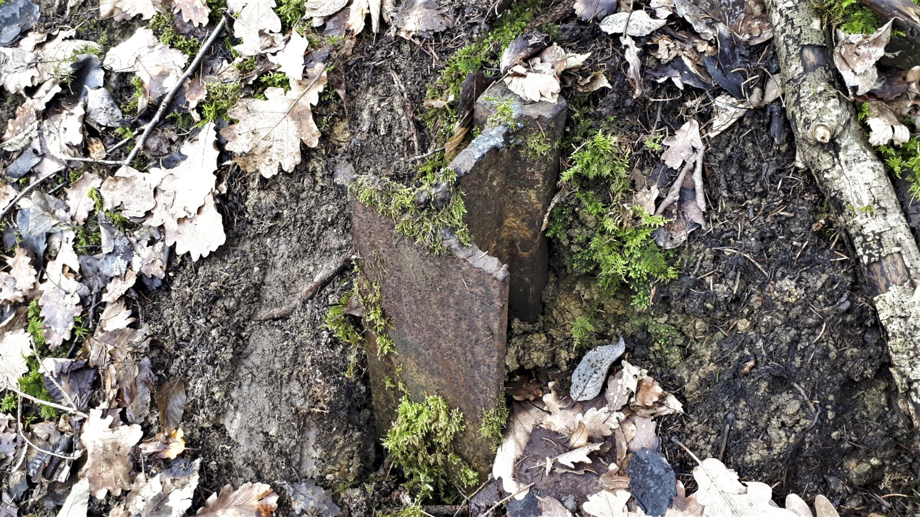 Ligne Maginot - DRACHENBRONN NORD OUEST - (Casemate d'infanterie) - Vestige du champ de rail antichar à proximité de la casemate - Gregory Fuchs
