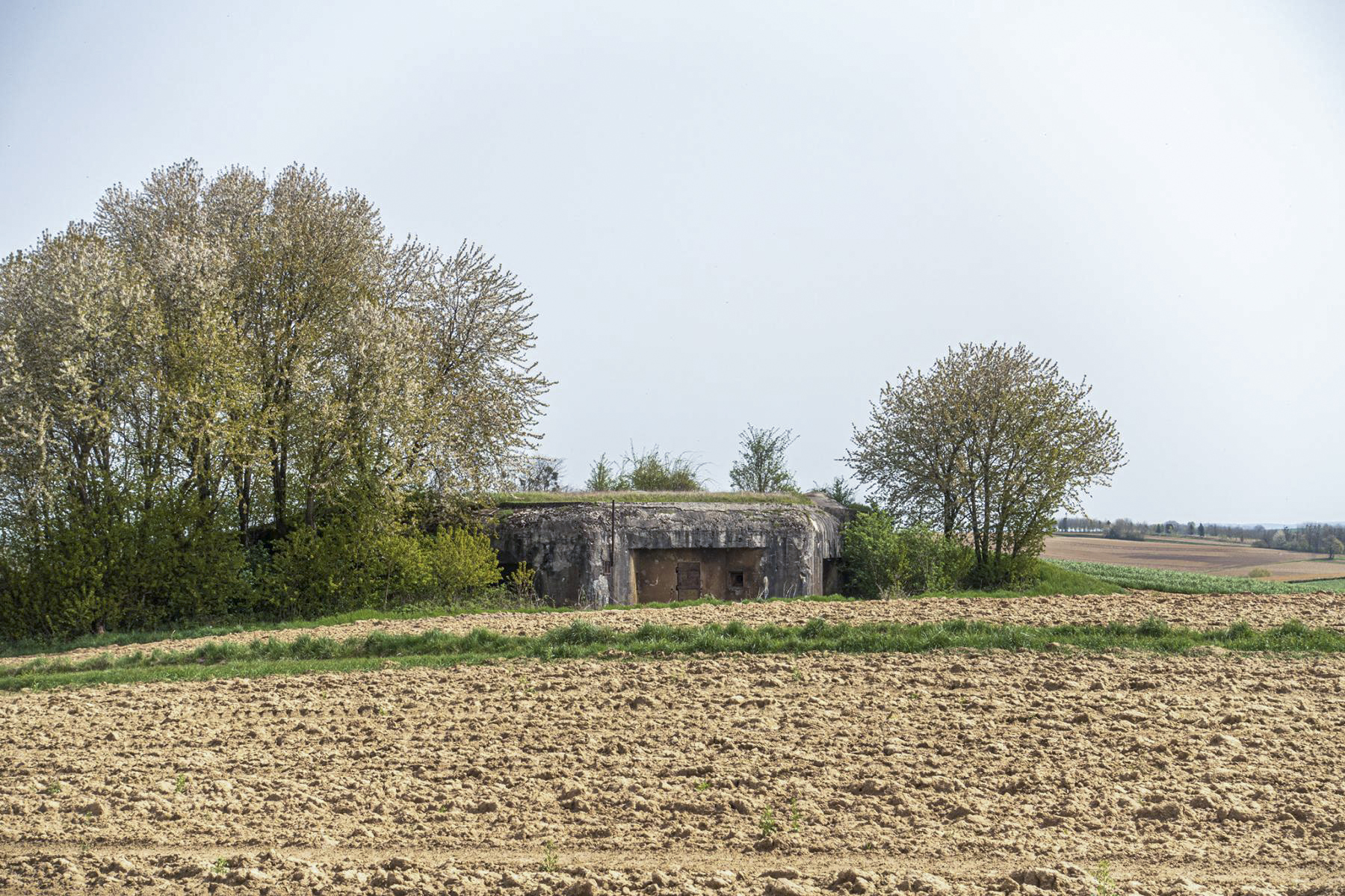 Ligne Maginot - ASCHBACH EST - O2 - (Casemate d'infanterie - Double) - Casemate Aschbach Est - David Palmer
